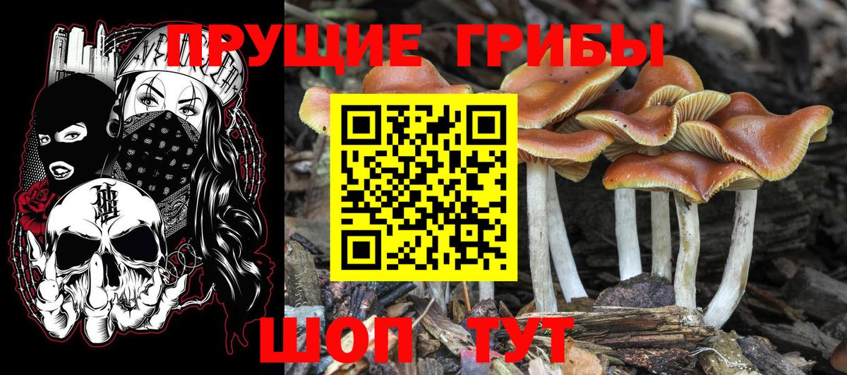 Галлюциногенные грибы ЛСД  Вход с VPN  Михайловск 